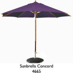 premium australia umbrella online