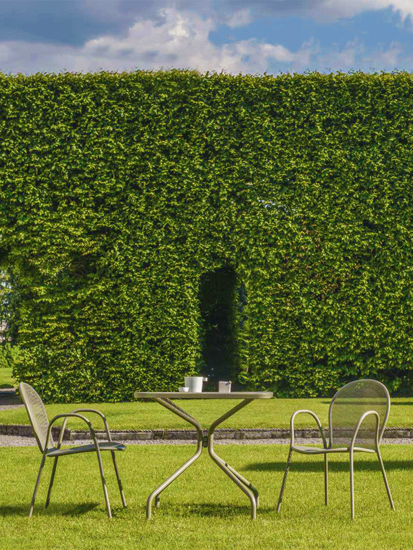 emu dining ronda combi